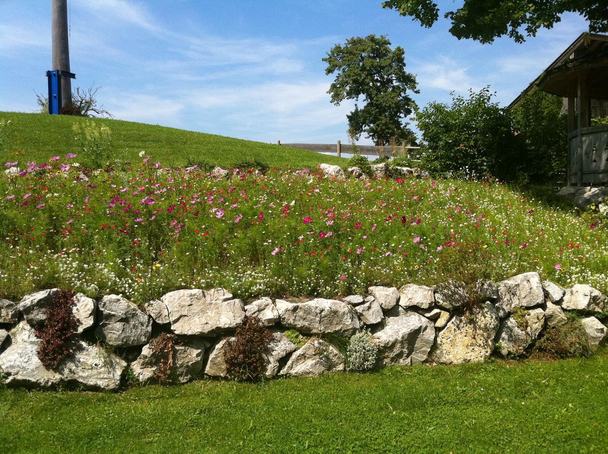 Landgasthof Fischbach Wackersberg المظهر الخارجي الصورة